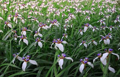 《守望先锋2》开发者：开发延迟 让我们心烦意乱